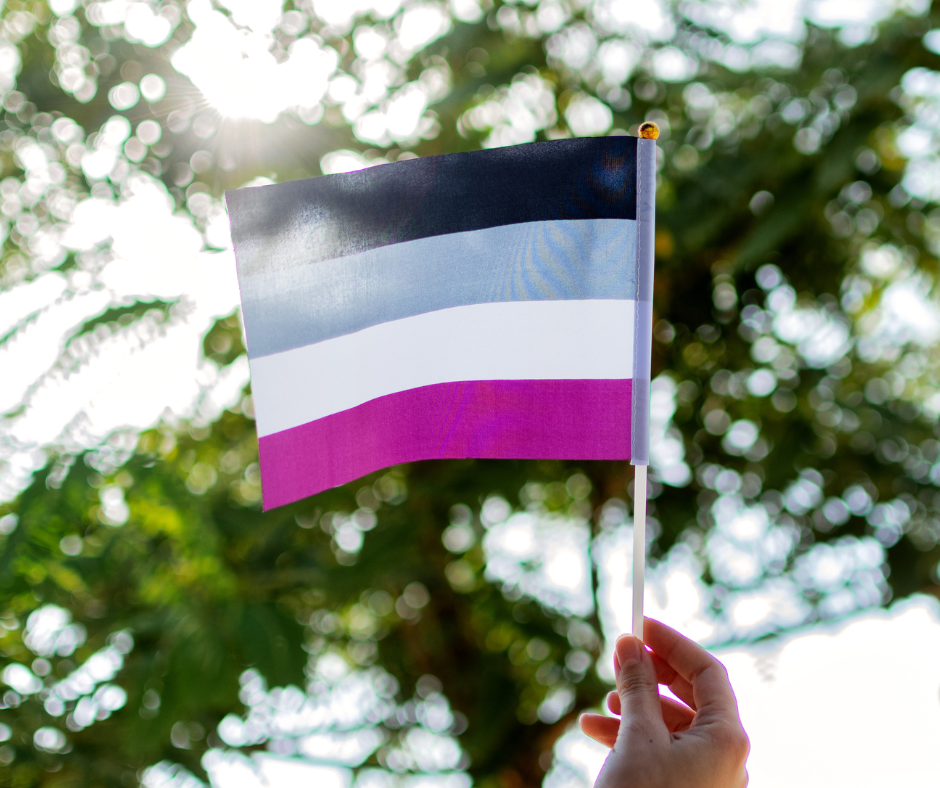 A hand holding a small asexual flag in front of some trees. The Asexual flag has 4 vertical stripes of black, grey, white, and purple.